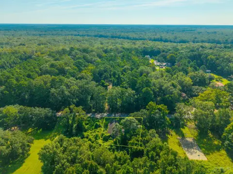 Versatile Lowcountry Land Opportunity