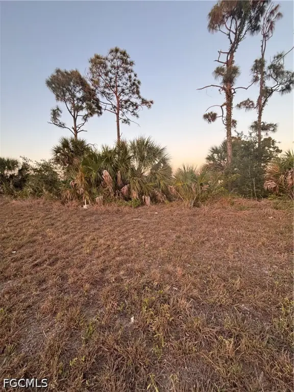 Picture 6