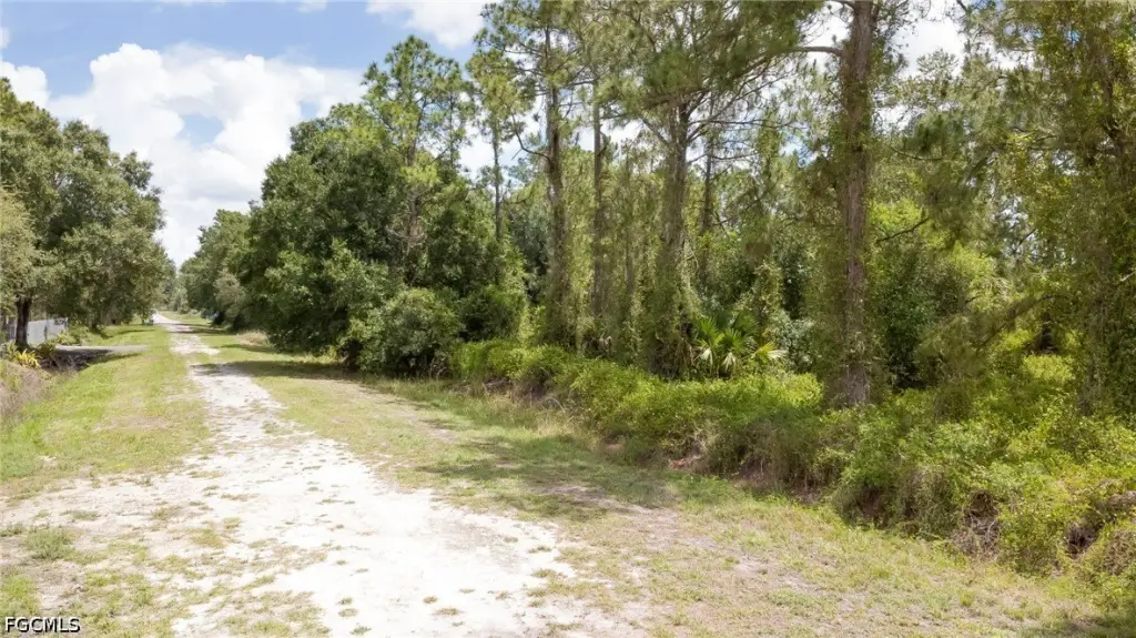 Picture 5