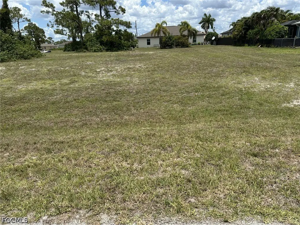 Picture 3