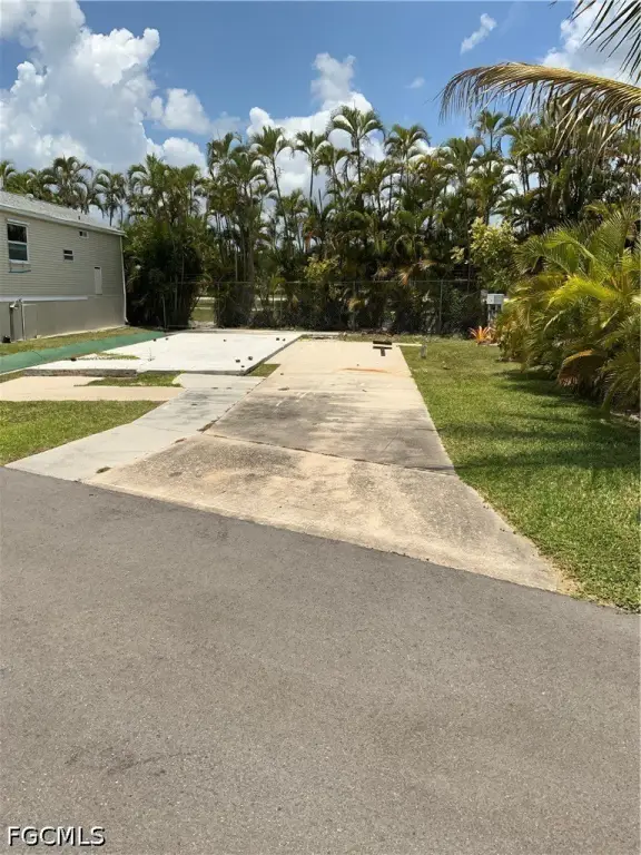 Picture 5