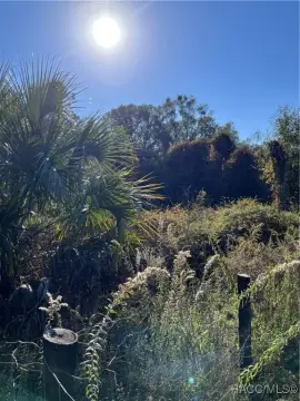 Picture of Land at N Bugbee Pt 6724, Crystal River, FL