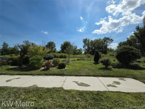 Detroit Land Ready For Development