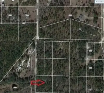 Picture of Land at SE 120Th Ave 120, Morriston, FL