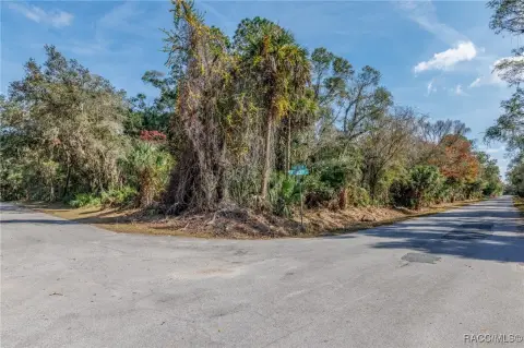 Expansive Homesite in Crystal River