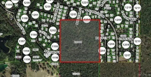 38.3 Acres in Citrus Springs