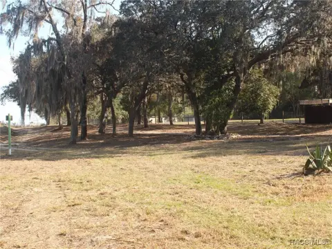 Cleared Land in Crystal River