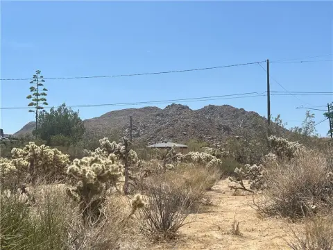 Joshua Tree Land Near Park
