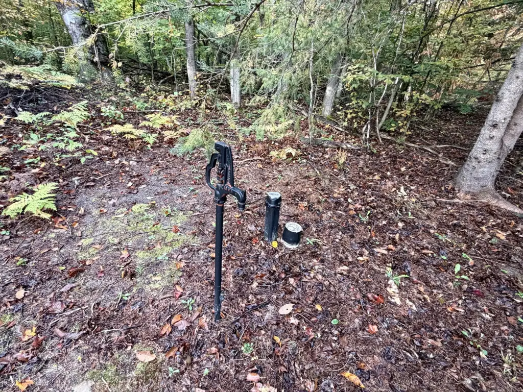 Picture 18