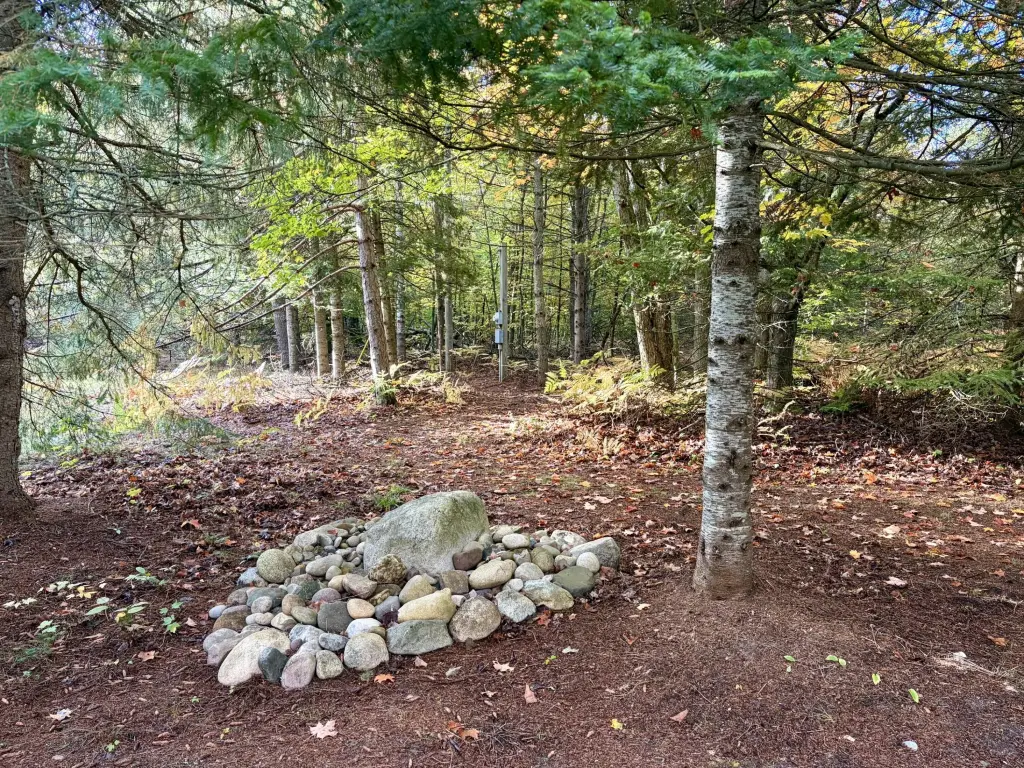 Picture 16