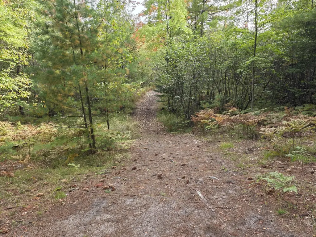 Picture 27