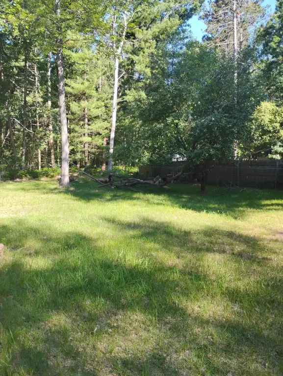 Picture 14