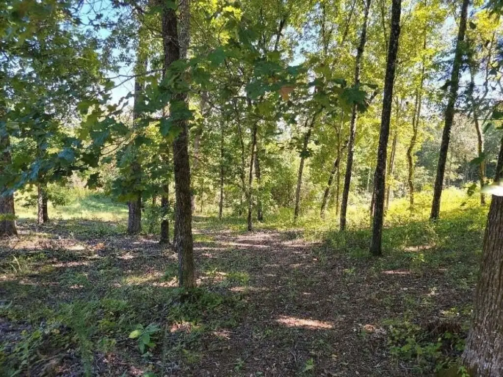 Picture 6