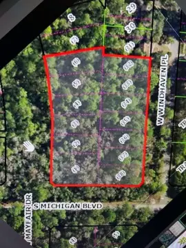 Corner Land Parcel in Homosassa