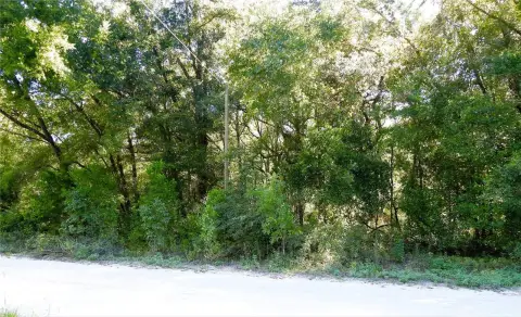 Undeveloped Land Near Rainbow River