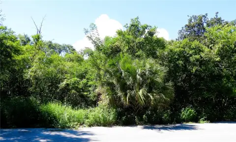 Residential Lot Near Lake Weir
