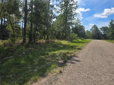 Residential Land in Dunnellon, FL