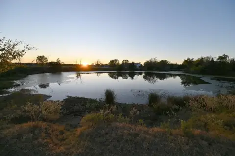 40-Acre Ranch Near Wills Point