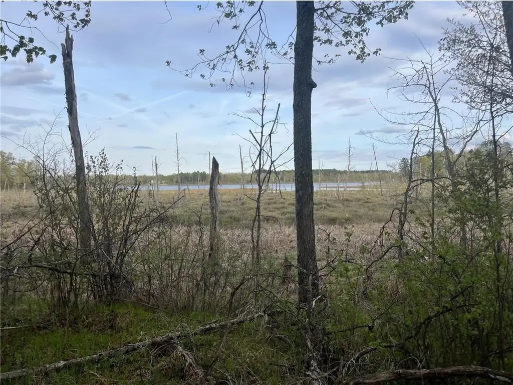 Picture 20