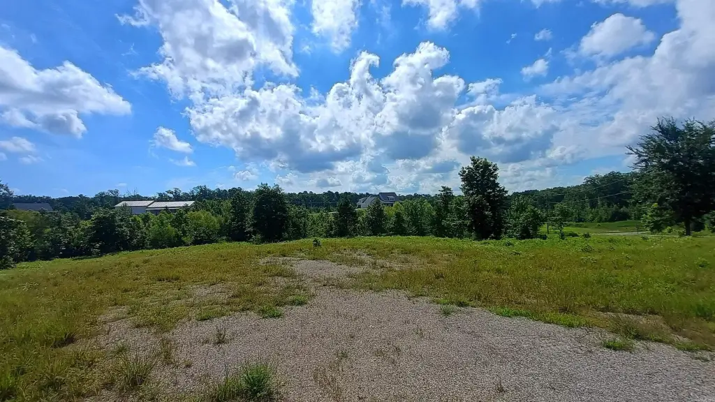 Picture 19