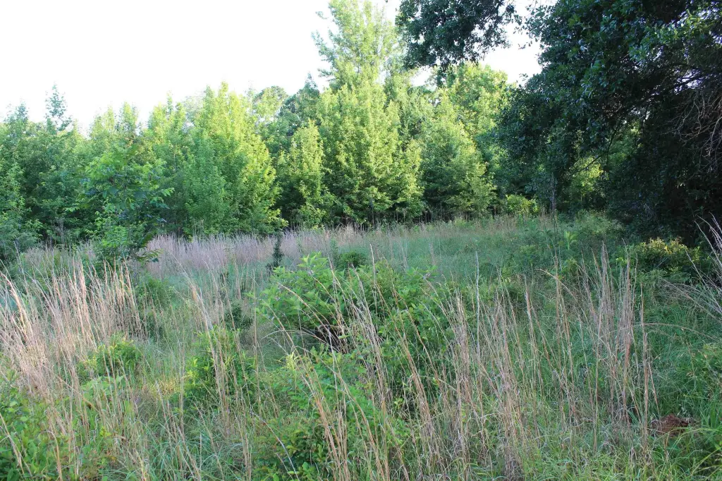 Picture 40