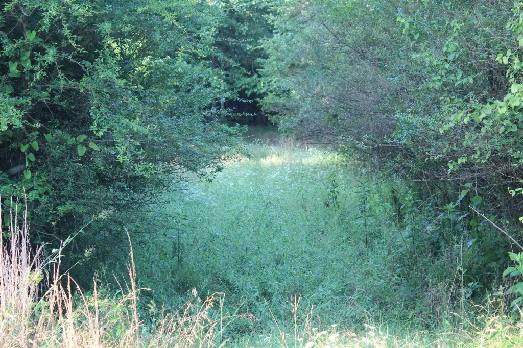 Picture 28