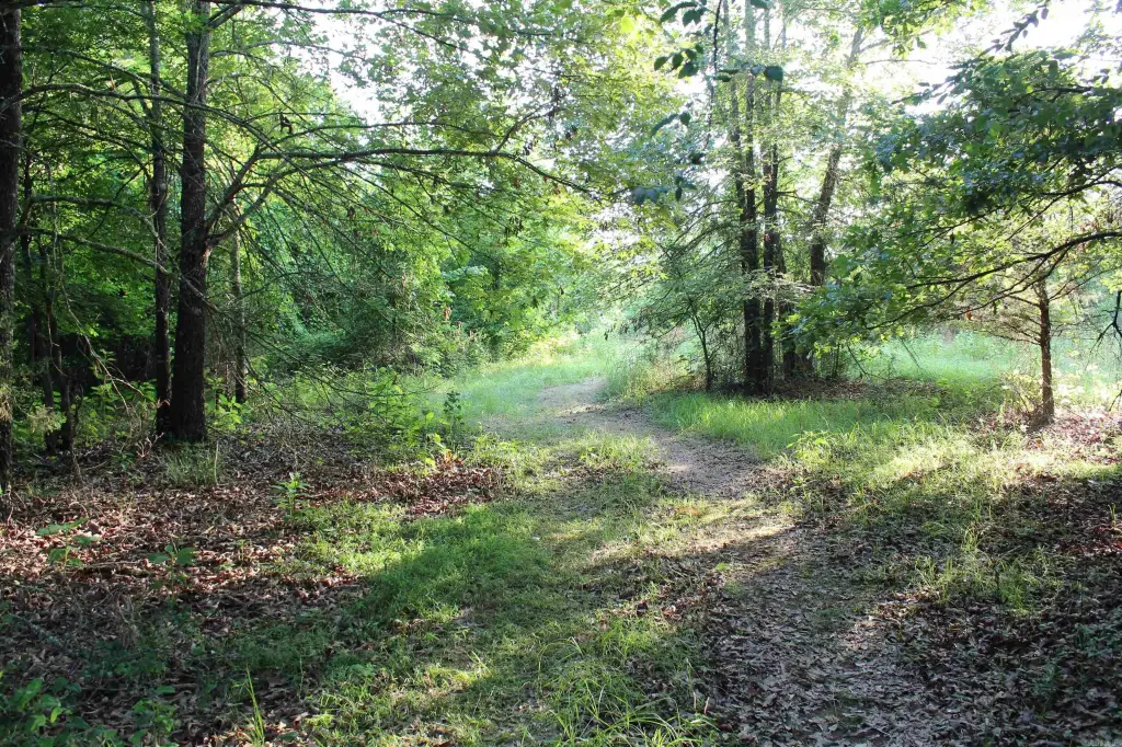 Picture 46