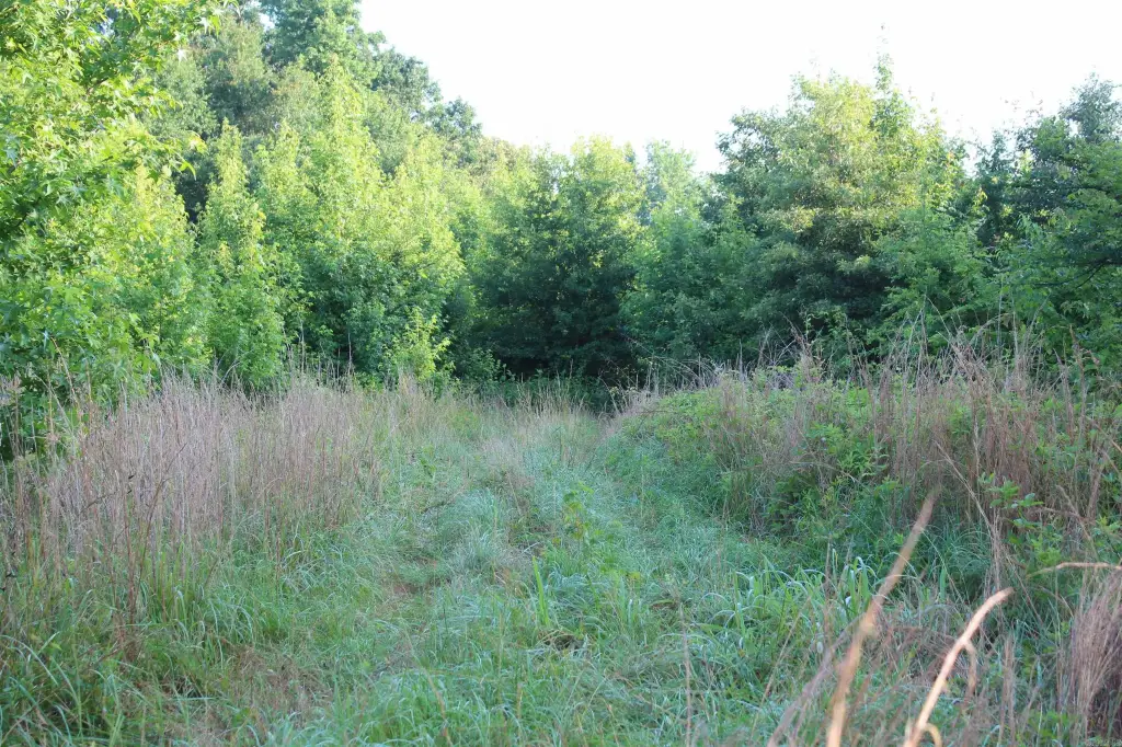 Picture 34