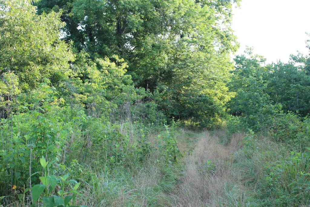 Picture 39