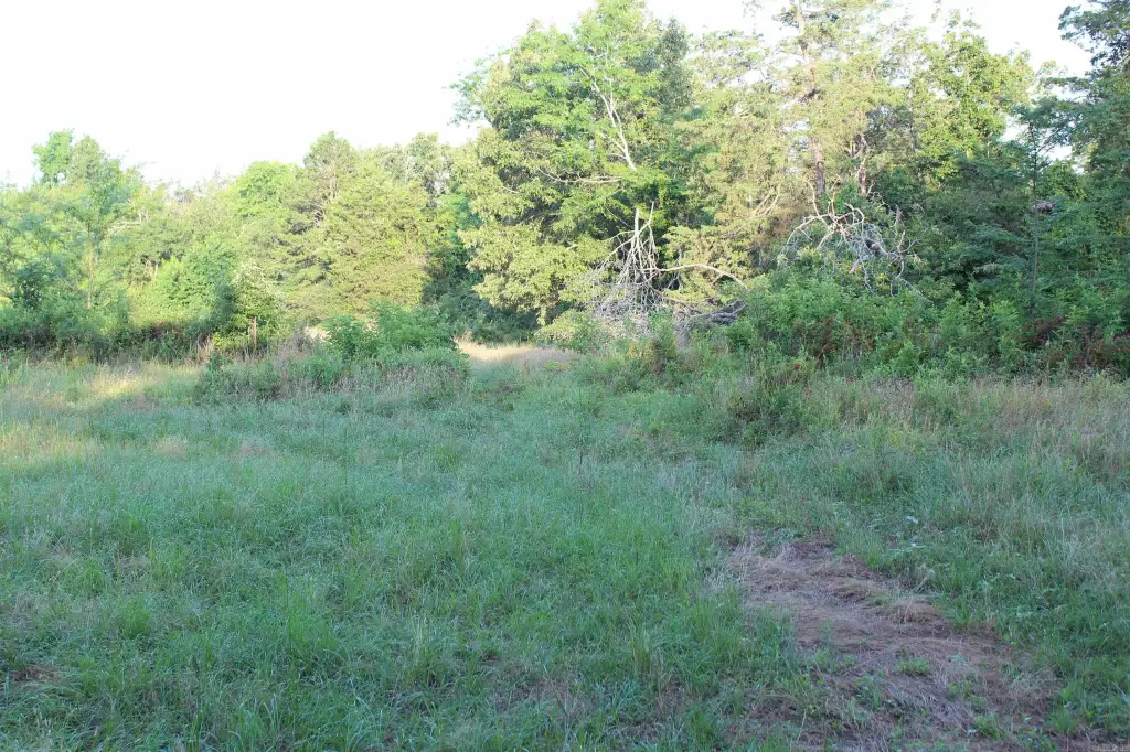 Picture 21