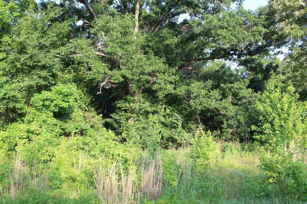 Picture 37
