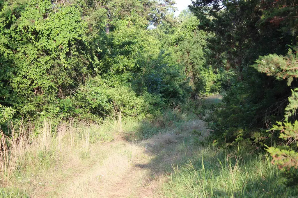 Picture 27
