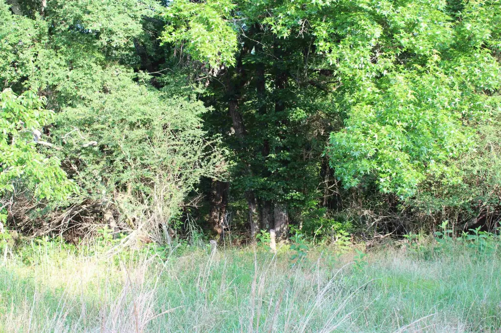 Picture 38