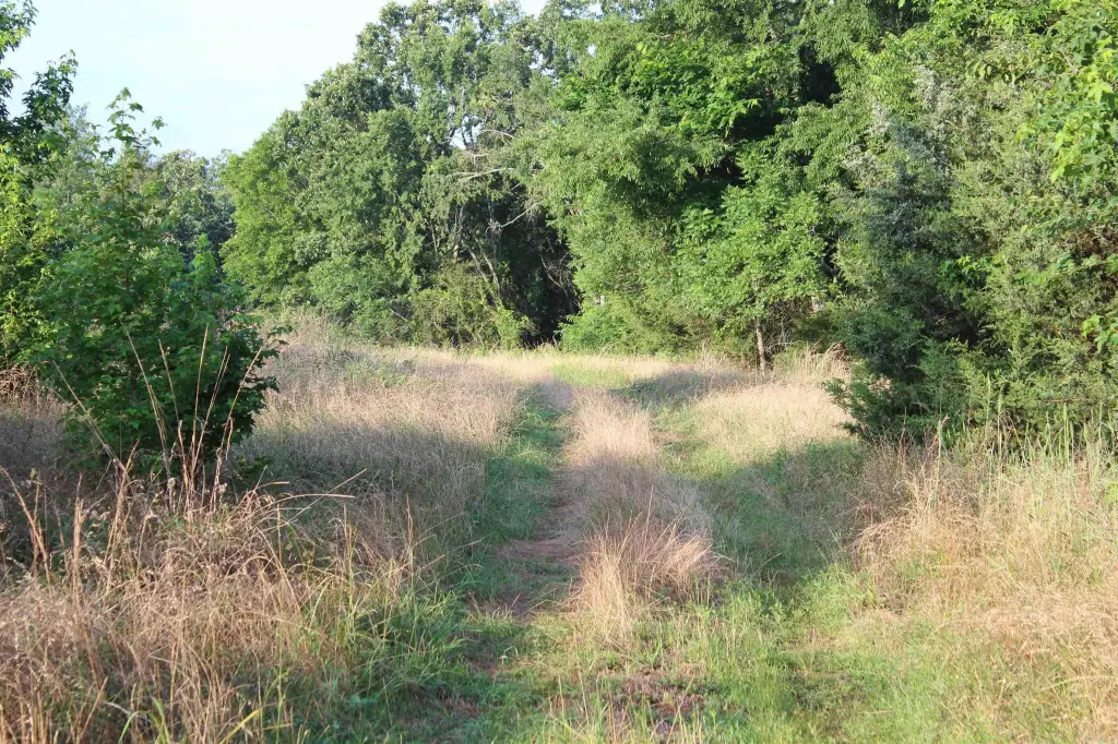 Picture 25