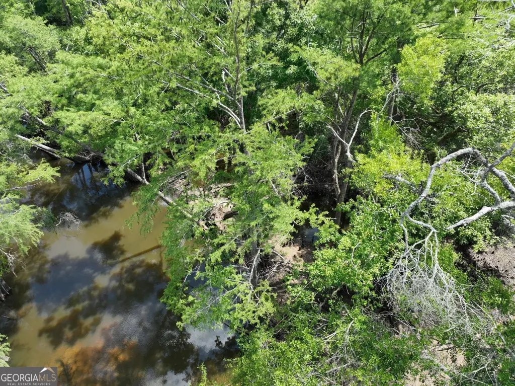 Picture 24