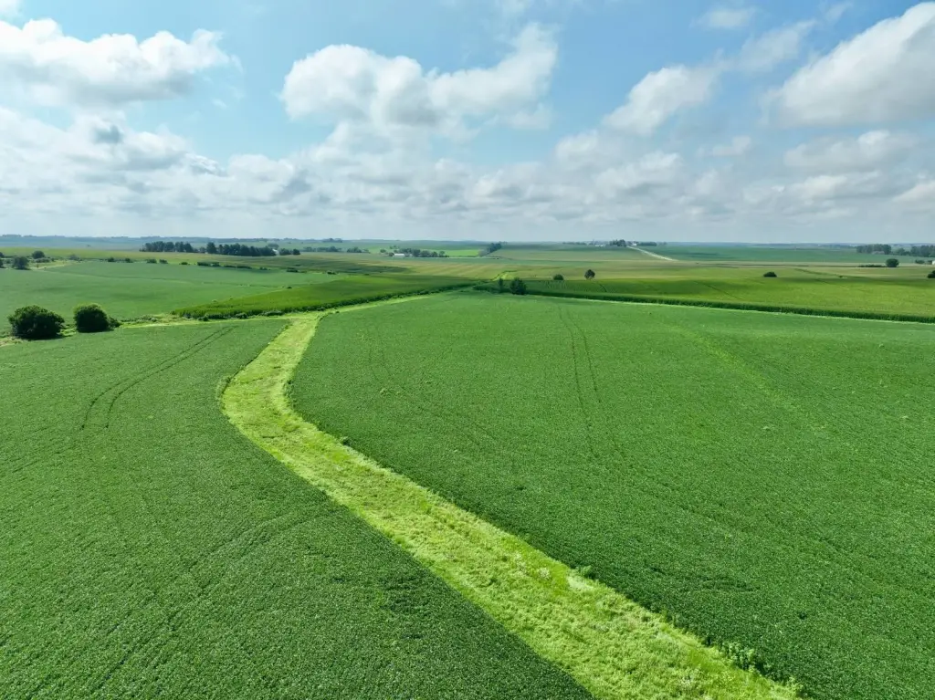 Picture 72
