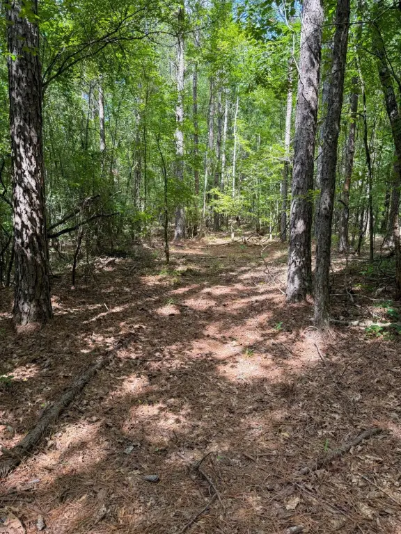 Picture 23
