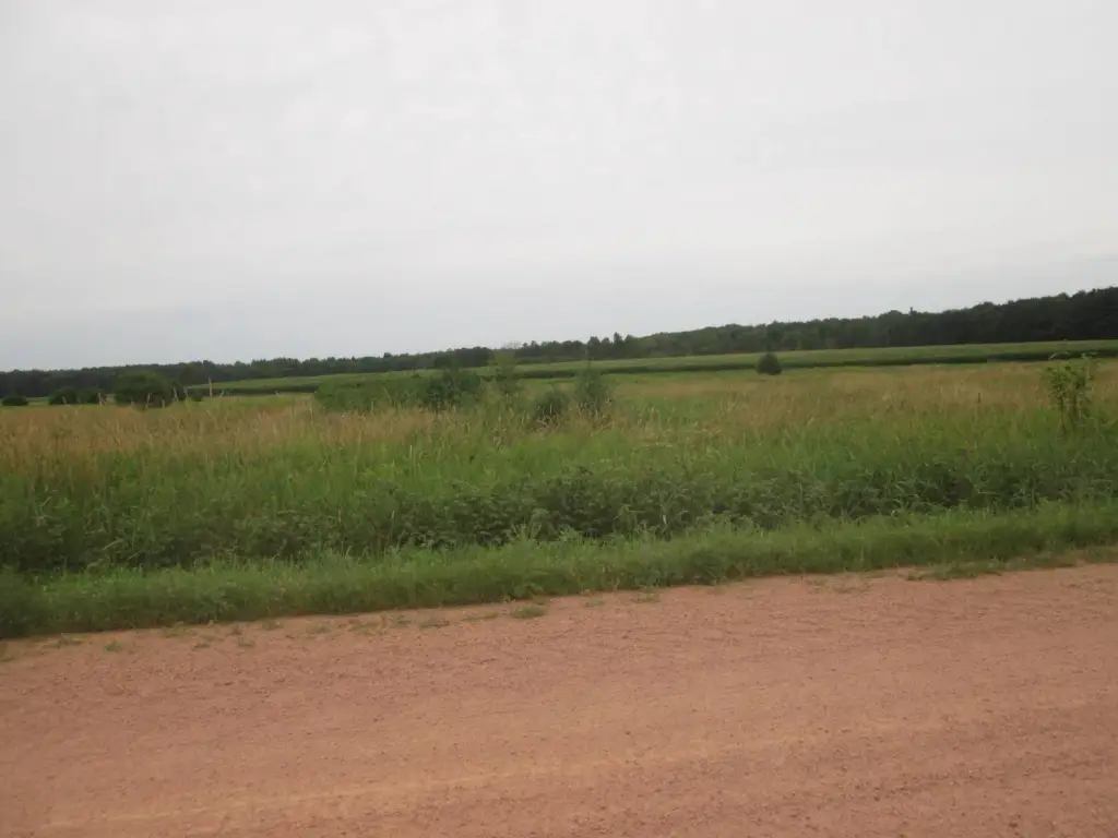 Picture 11