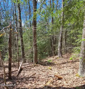 Otis Wood Lands One-Acre Lot