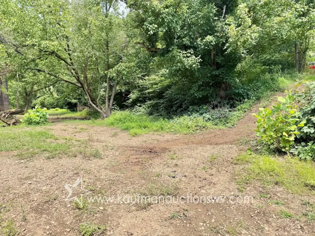 Picture 31