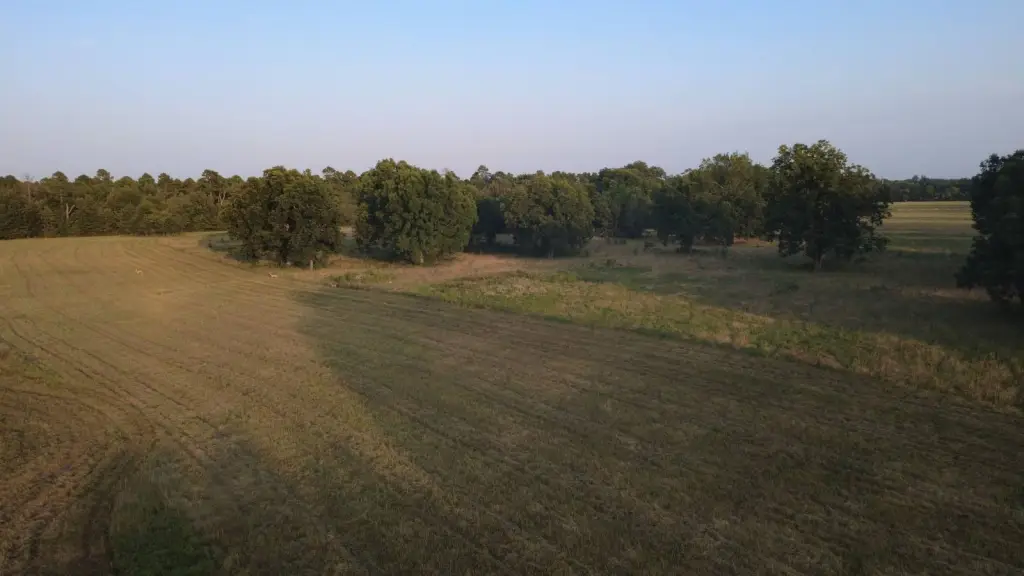 Picture 45