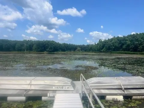 Heavily Wooded Lot on Lake