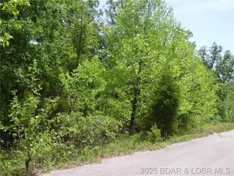 Residential Lot Near Camdenton Schools
