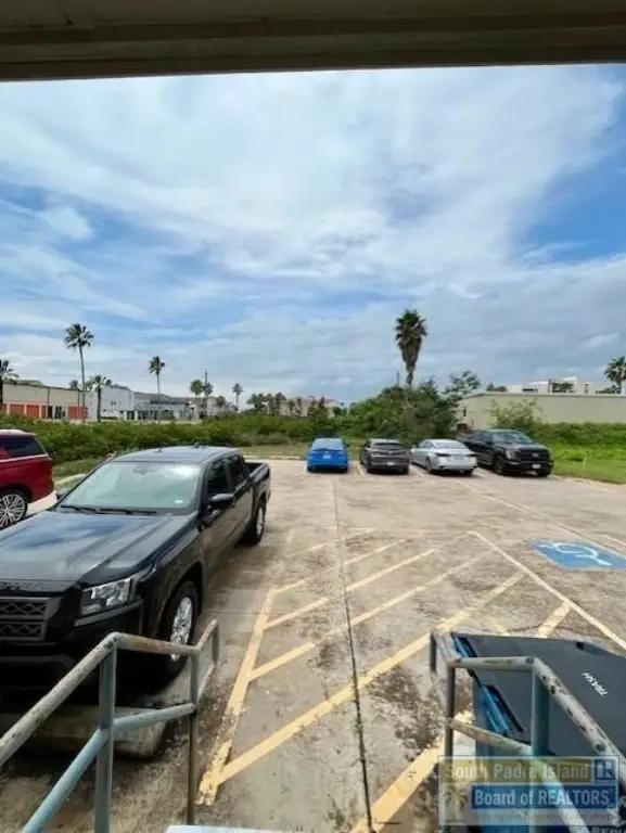 Picture 5