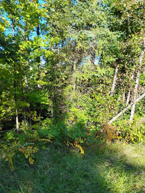 Picture 7
