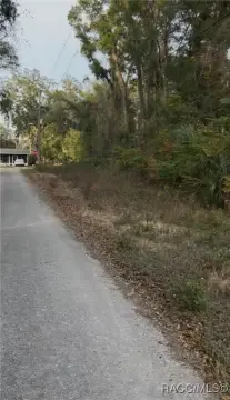 Land in Inverness, Florida