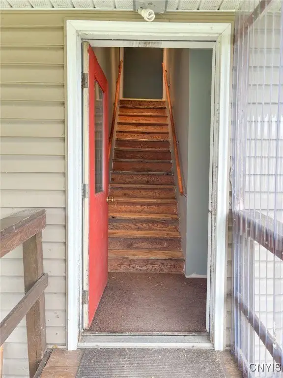 Picture 30
