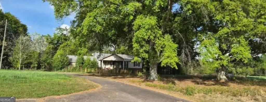 Picture 16