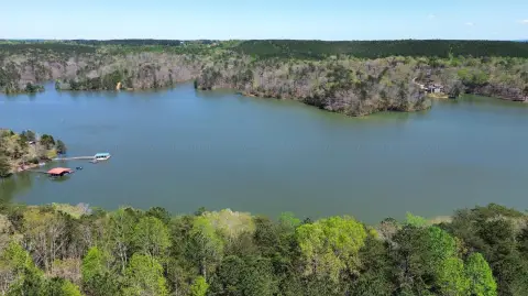 Waterfront Acreage in Arley, Alabama