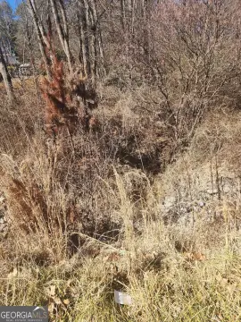 Buford Land For Sale